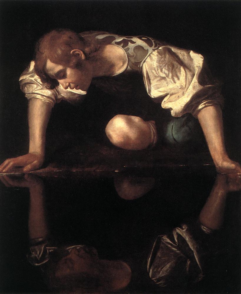 The Narciccus
